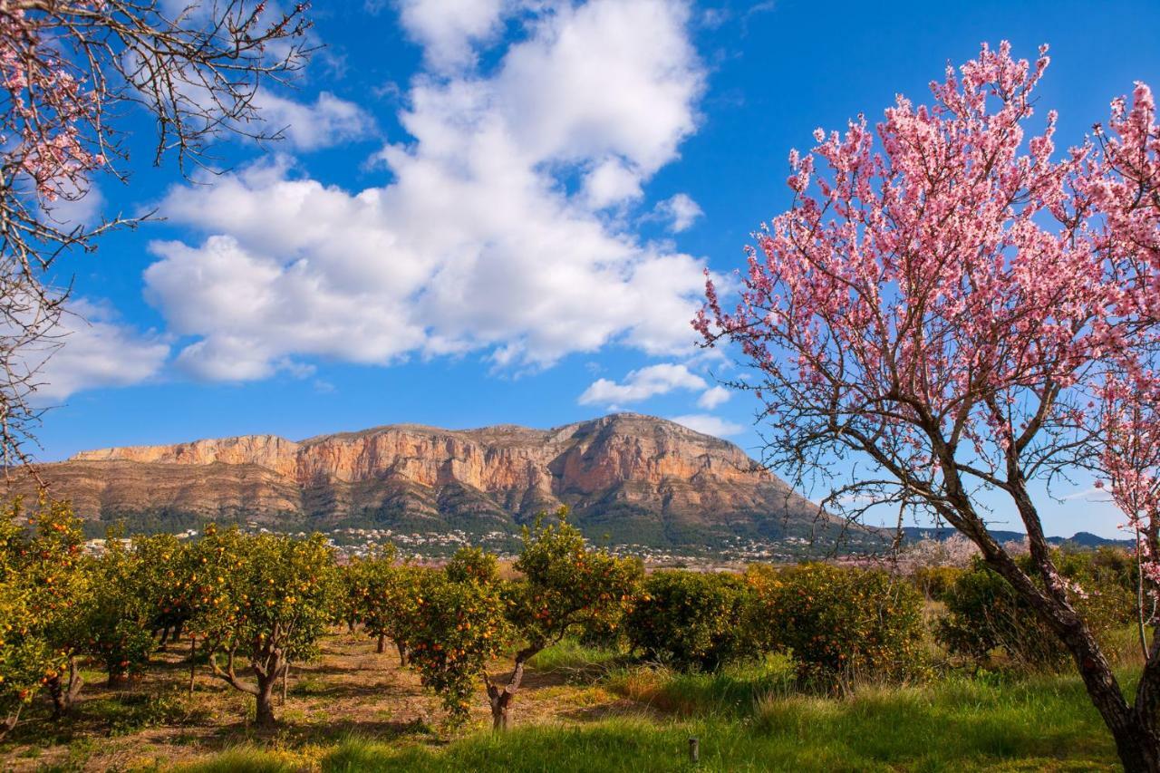 Vila Ca La Marti Pedreguer Exteriér fotografie